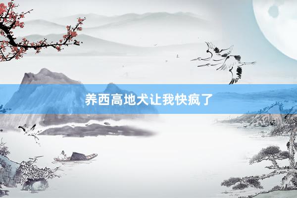 养西高地犬让我快疯了