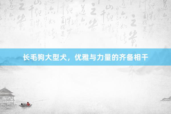 长毛狗大型犬，优雅与力量的齐备相干